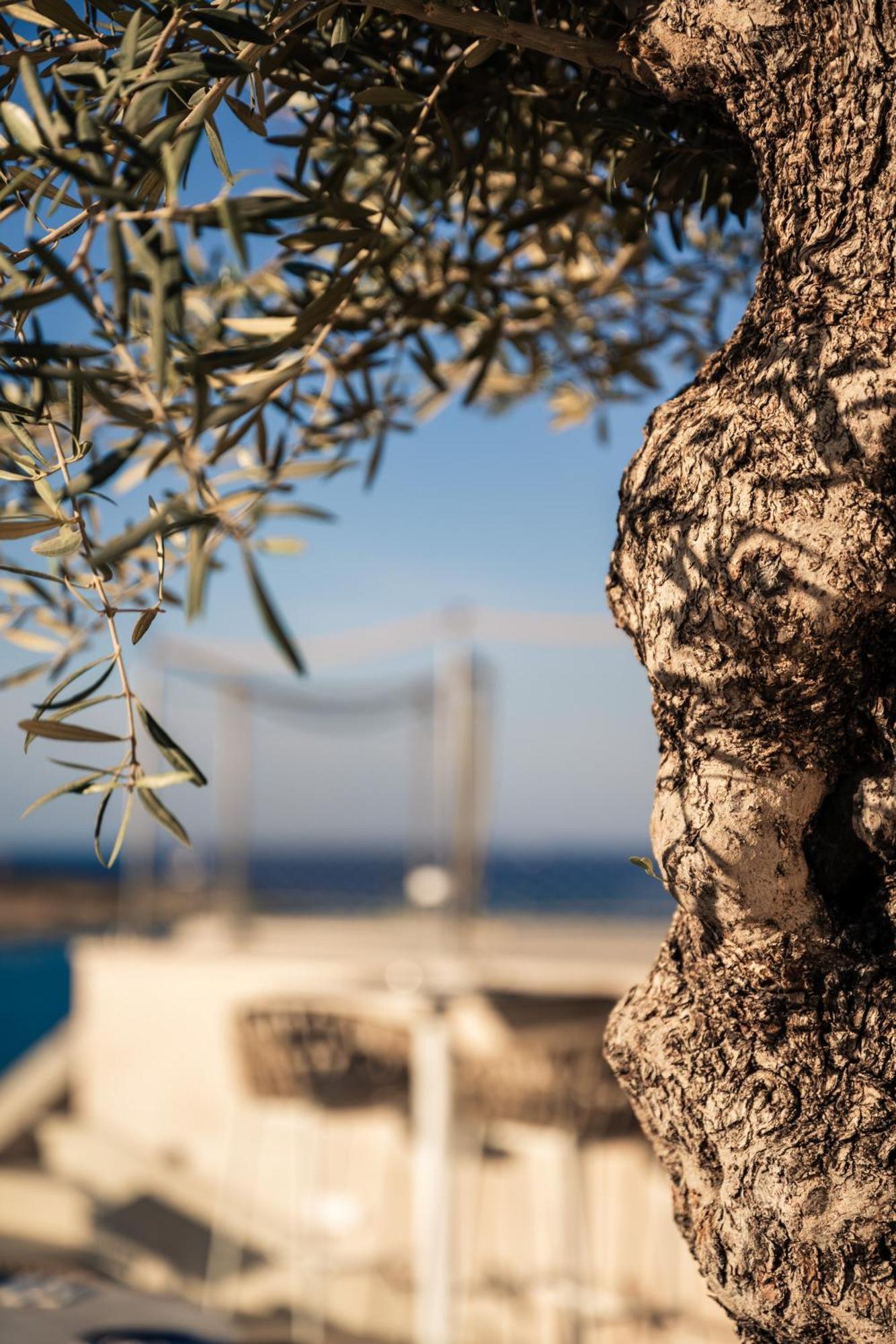 XVI Suites - Adults Only Naxxar Екстериор снимка
